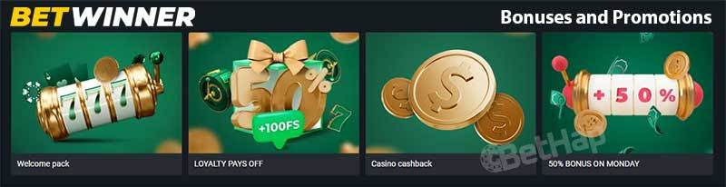Experience the Thrill of BetWinner Casino Your Ultimate Gaming Destination Experience the Thrill of BetWinner Casino Your Ultimate Gaming Destination